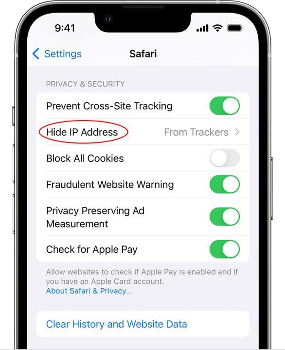 Hide IP Address in the Safari menu in iOS