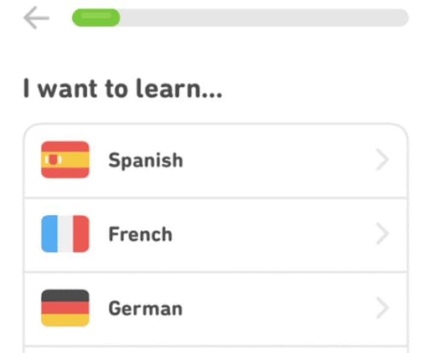 How to use Duolingo