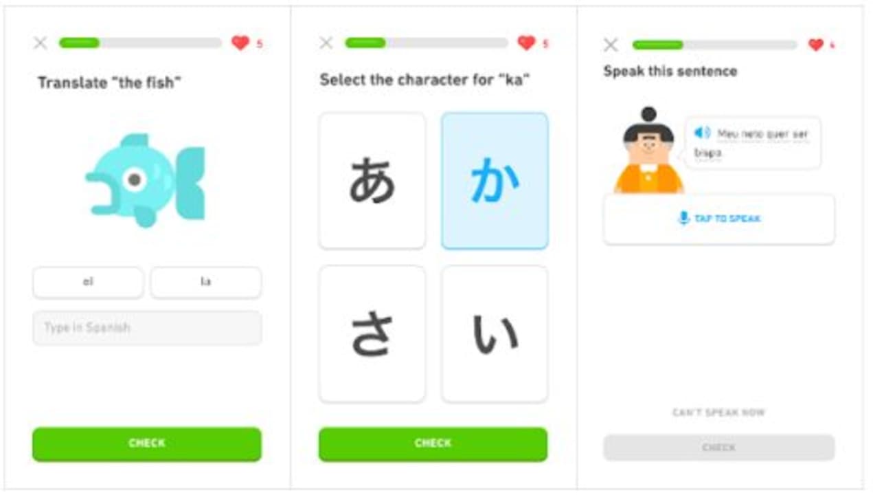 How to use Duolingo