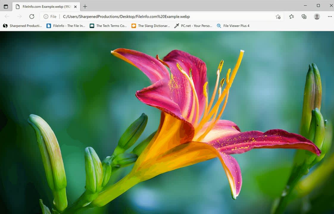 Locate a WebP image file and drag and drop it into a new browser tab to open it.