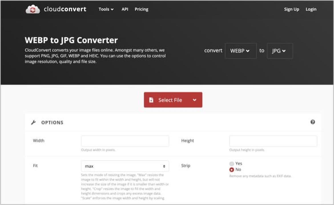 Download your preferred file converter to switch the WebP image's output format to a JPG or PNG file.